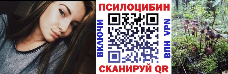 blacksprut ССЫЛКА  Кораблино  Псилоцибиновые грибы мухоморы 